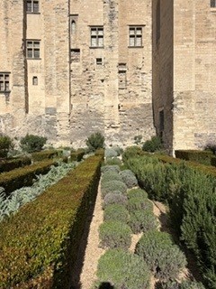 gallery-image