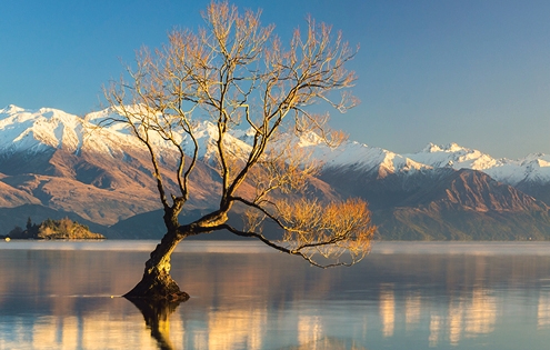 Collette – Australia and New Zealand Uncovered - Maritime Travel