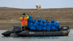 passengers-viewing-polar-bear-wildlife-from-zodiac.jpg